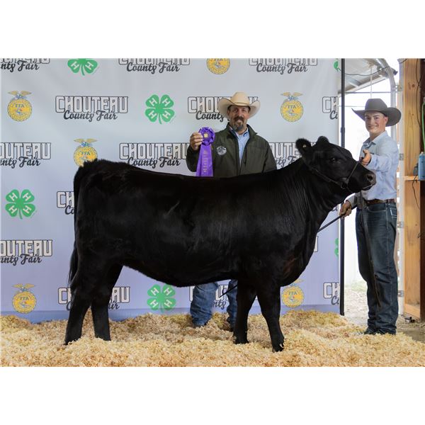 Arrow Hucke - Bred Heifer