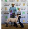 Image 1 : Jetta Hucke - Market Sheep