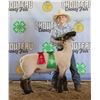 Image 1 : Theodore Bradshaw - Market Sheep