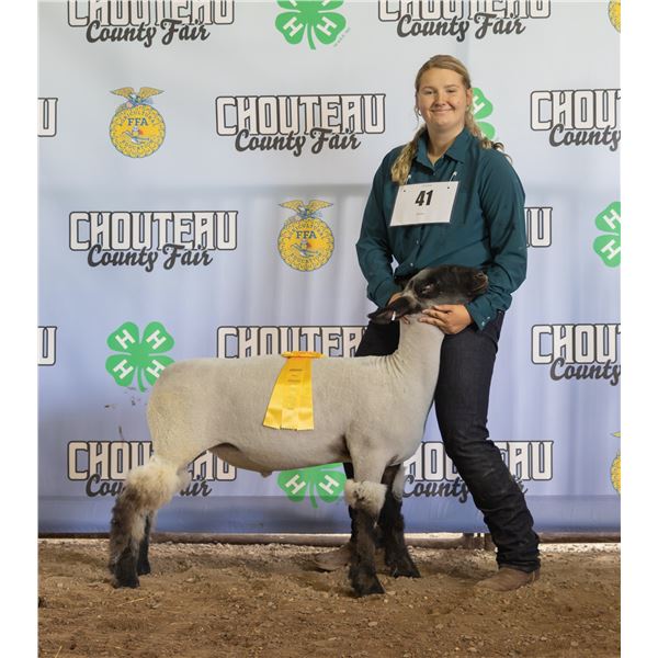 Bailey Heppner - Market Sheep