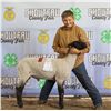 Image 1 : Austin Heppner - Market Sheep