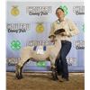 Image 1 : Cassie Heppner - Market Sheep