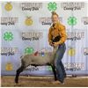 Image 1 : Natalie Heppner - Market Sheep