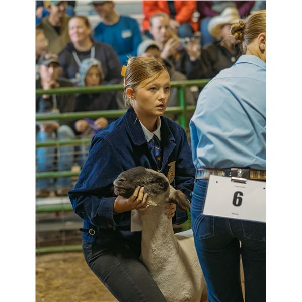 Gracelyn Roudebush - Market Sheep