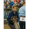 Image 1 : Gracelyn Roudebush - Market Sheep