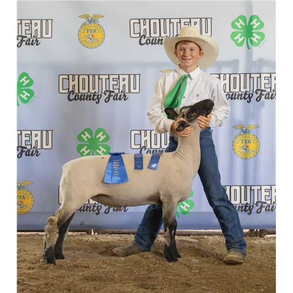 Jordan Hanson - Market Sheep