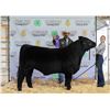 Image 1 : Emmery O'Hara - Market Beef