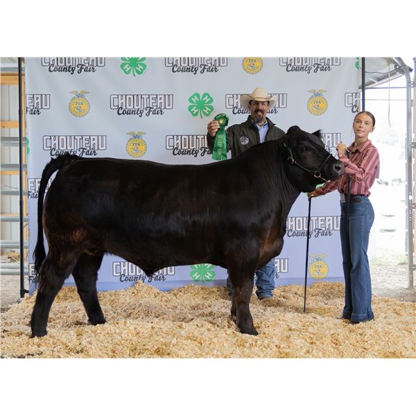Sophia Bradshaw - Market Beef