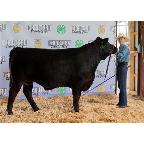 Thaddeus Bradshaw - Market Beef