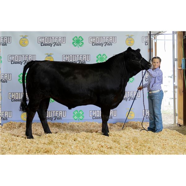 Larkin Kauer - Market Beef