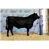 Image 1 : Larkin Kauer - Market Beef