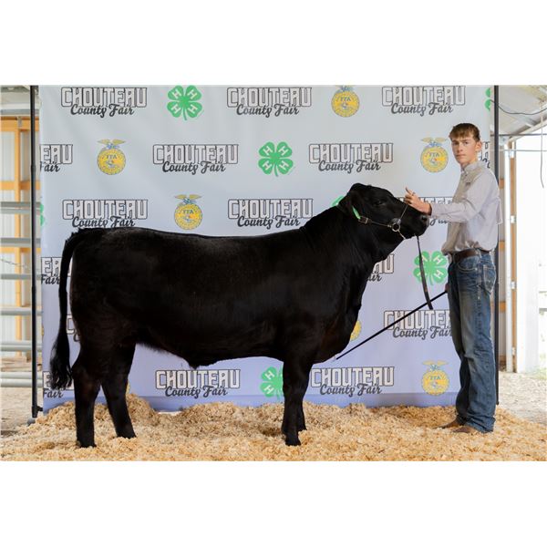 Brooks Diekhans - Market Beef
