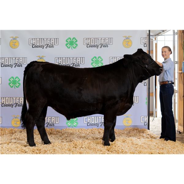Jetta Hucke - Market Beef