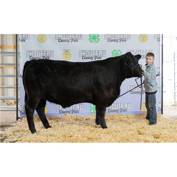 Dennis Ritland - Market Beef