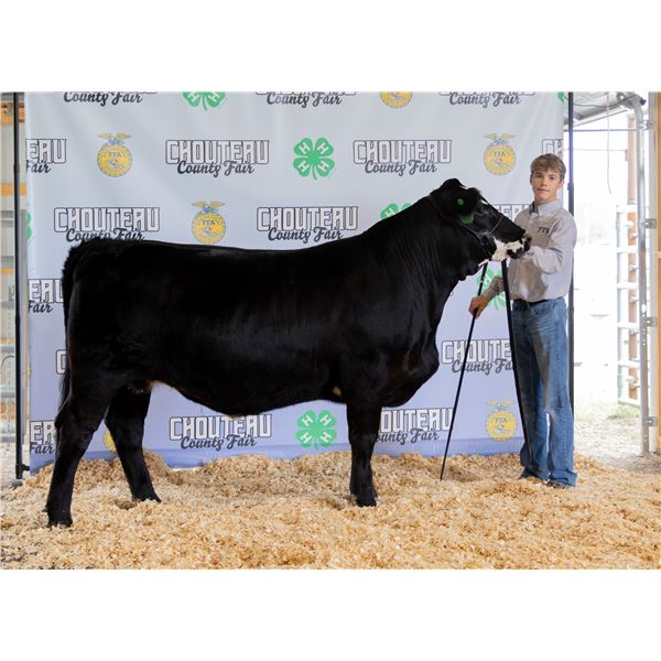 Owen Starman - Market Beef