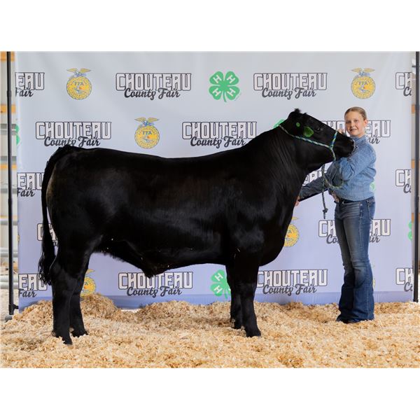 Braydee O’Hara - Market Beef