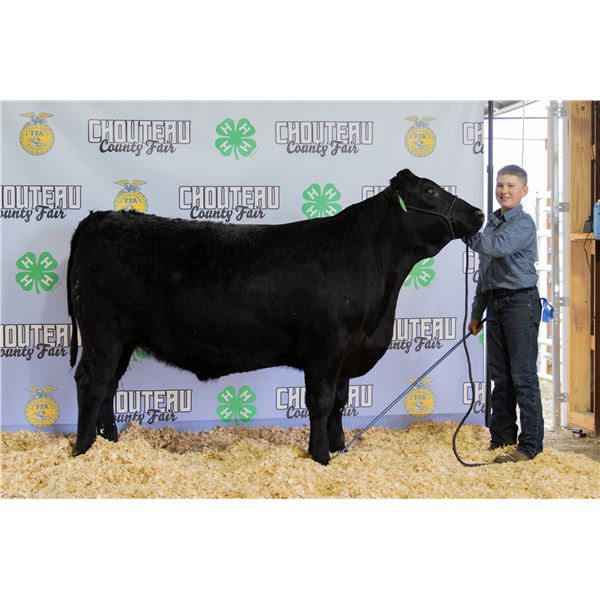 Paul Ritland - Market Beef