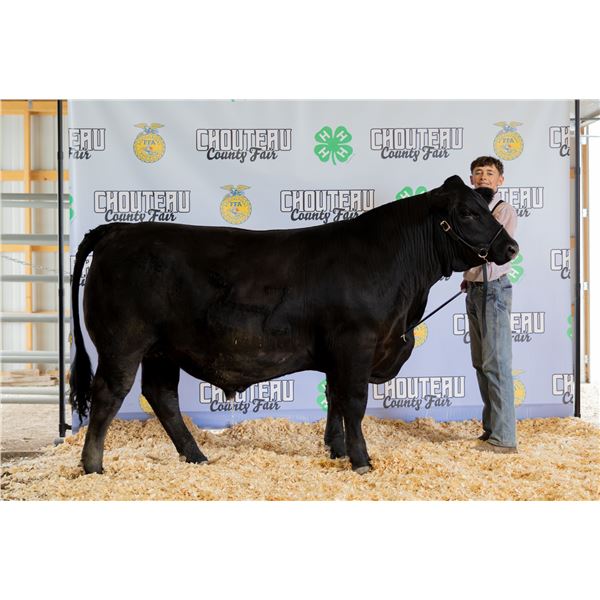 Kade Baum - Market Beef