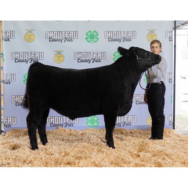 Blake O’Hara - Market Beef