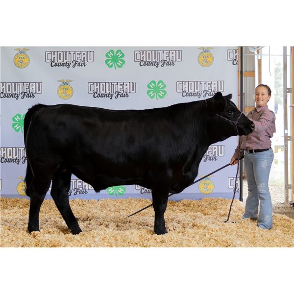 Ember Kauer - Market Beef