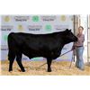 Image 1 : Ember Kauer - Market Beef
