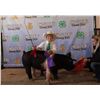 Image 1 : Jordan Hanson - Market Swine