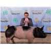 Image 1 : Miles Zanto - Market Swine