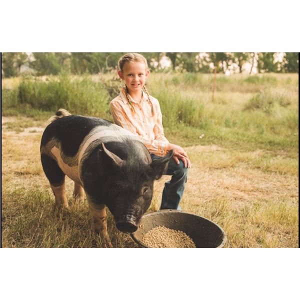 Ruth Lynn Merja - Market Swine