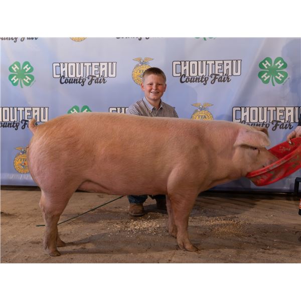 Freddy Granger - Market Swine