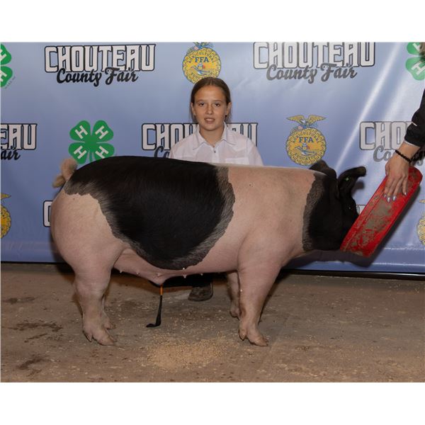 Brookelyn Cline - Market Swine