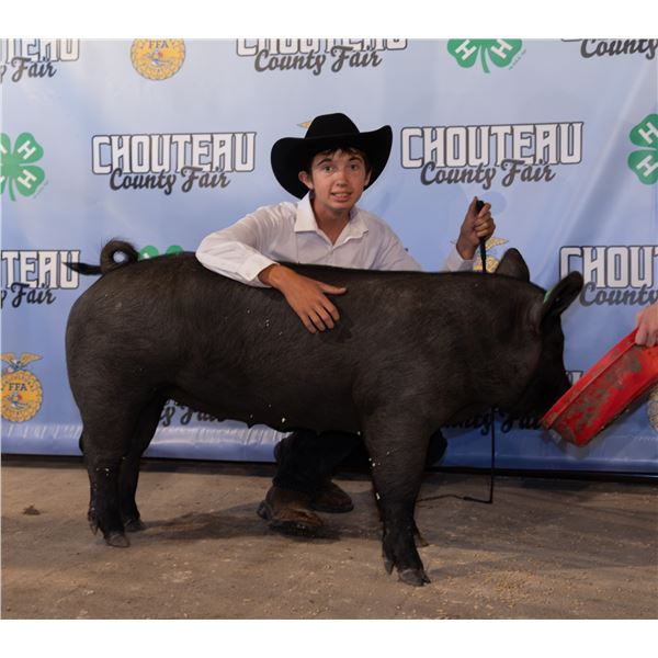 Owen Allderdice - Market Swine