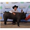 Image 1 : Owen Allderdice - Market Swine