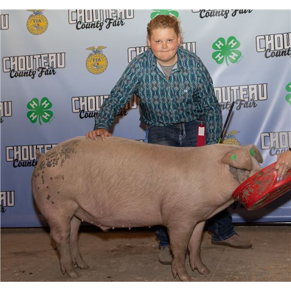 Paezlee Heppner - Market Swine