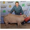 Image 1 : Paezlee Heppner - Market Swine