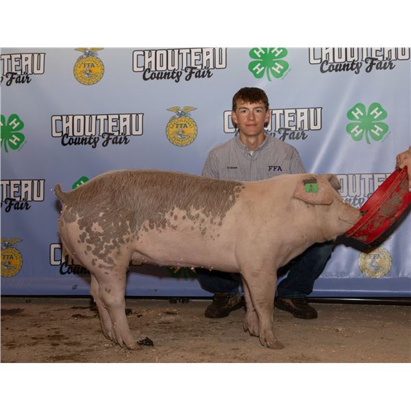 Brooks Diekhans - Market Swine