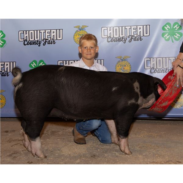 Sawyer Chauvet - Market Swine