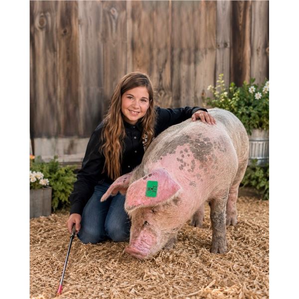 Addyson Ayers - Market Swine