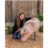 Image 1 : Addyson Ayers - Market Swine