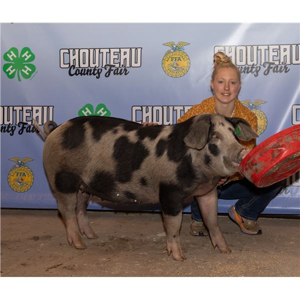 Natalie Heppner - Market Swine
