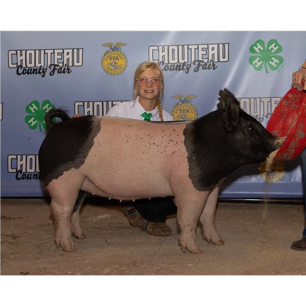 Emmie Jo Chauvet - Market Swine