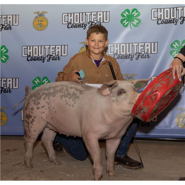 Austin Heppner - Market Swine