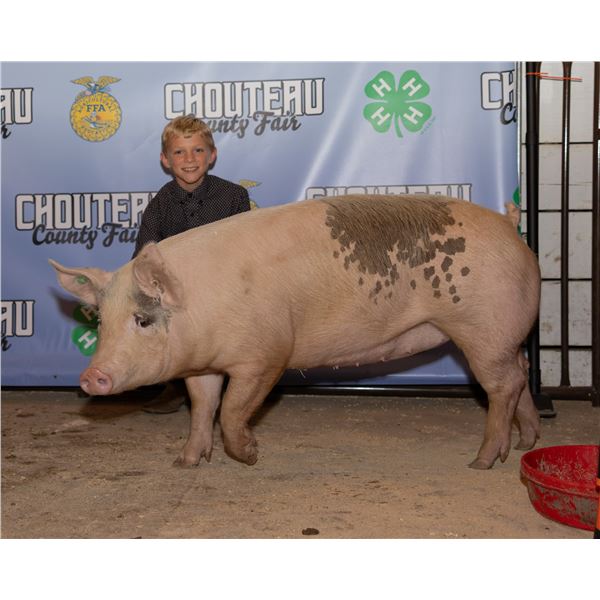 Cove Danreuther - Market Swine