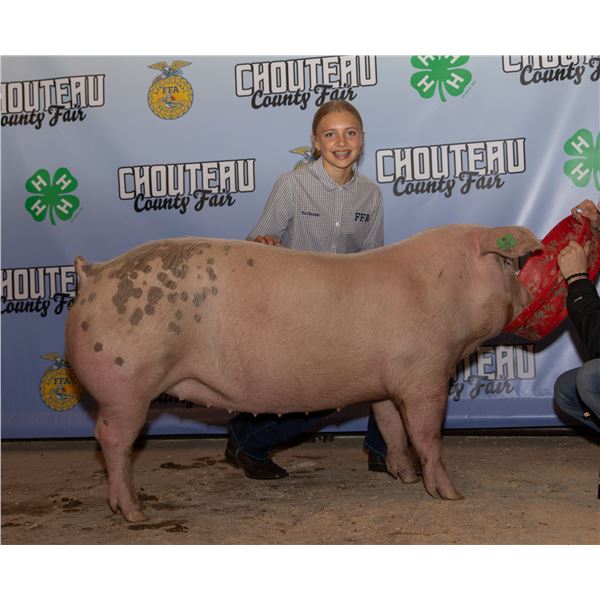 Bromley Reichelt - Market Swine