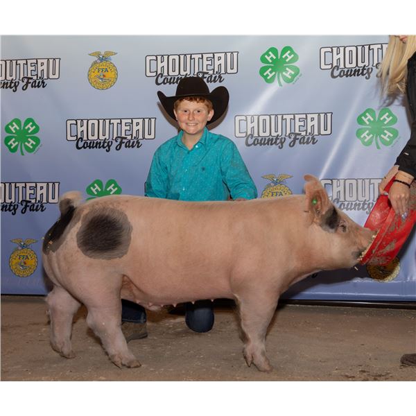 Bram Jones - Market Swine