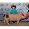 Image 1 : Bram Jones - Market Swine