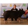 Image 1 : Lyndee Worrall - Market Swine