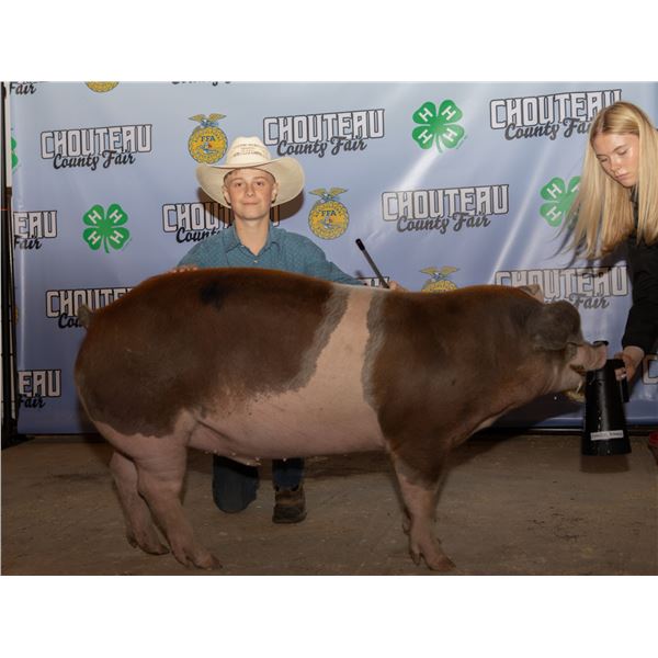 Thaddeus Bradshaw - Market Swine