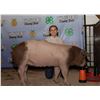 Image 1 : Adelynne Baum - Market Swine