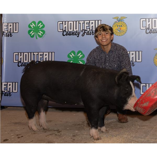 Gabe Cline - Market Swine
