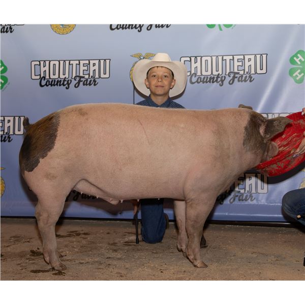 Augustus Bradshaw - Market Swine